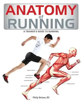 Anatomia della corsa - Anatomy of Running