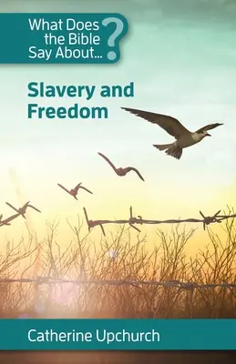 Cosa dice la Bibbia su schiavitù e libertà - What Does the Bible Say About Slavery and Freedom