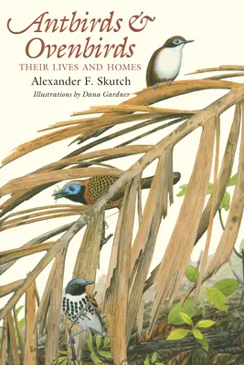 Formiche e uccelli da forno: La loro vita e le loro case - Antbirds and Ovenbirds: Their Lives and Homes