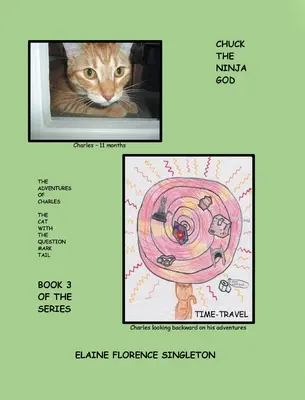 Chuck il dio ninja: Le avventure del gatto Charles con la coda a forma di punto interrogativo - Chuck The Ninja GOD: The Adventures Of Charles The Cat With The Question Mark Tail