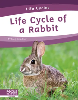 Ciclo di vita di un coniglio - Life Cycle of a Rabbit