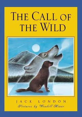 Il richiamo della natura selvaggia - The Call of the Wild
