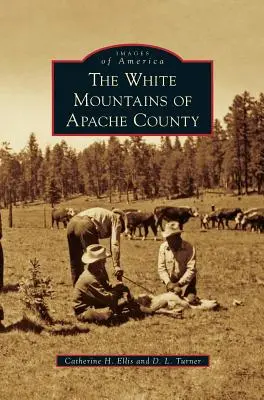 Le montagne bianche della contea di Apache - White Mountains of Apache County