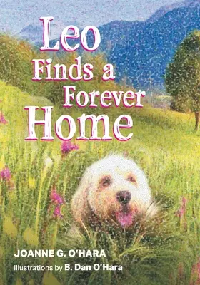 Leo trova una casa per sempre - Leo Finds a Forever Home