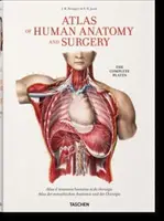 Bourgery. Atlante di anatomia e chirurgia umana - Bourgery. Atlas of Human Anatomy and Surgery