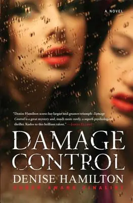 Controllo dei danni - Damage Control