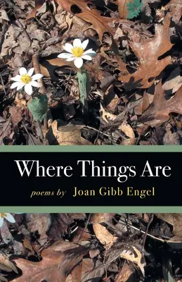 Dove sono le cose - Where Things Are