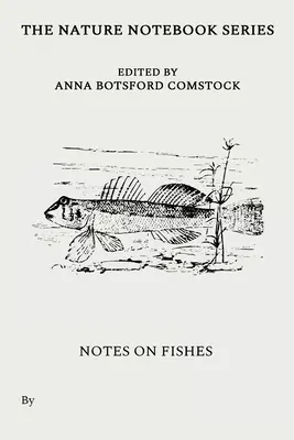 Note sui pesci - Notes on Fishes