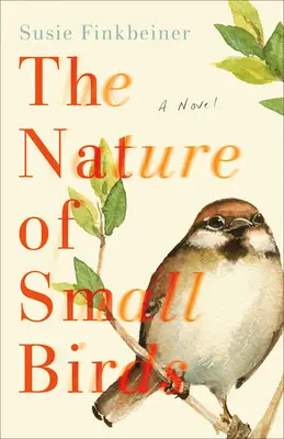 La natura dei piccoli uccelli - Nature of Small Birds