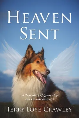 Heaven Sent: una storia vera di perdita della speranza e di ritrovamento di un angelo - Heaven Sent: A True Story of Losing Hope and Finding an Angel