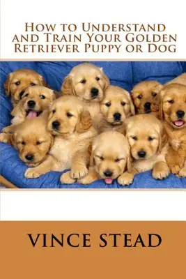 Come capire e addestrare il vostro cucciolo o cane Golden Retriever - How to Understand and Train Your Golden Retriever Puppy or Dog