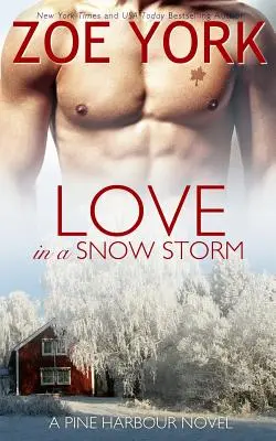 L'amore in una tempesta di neve - Love in a Snowstorm