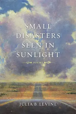 Piccoli disastri visti alla luce del sole - Small Disasters Seen in Sunlight