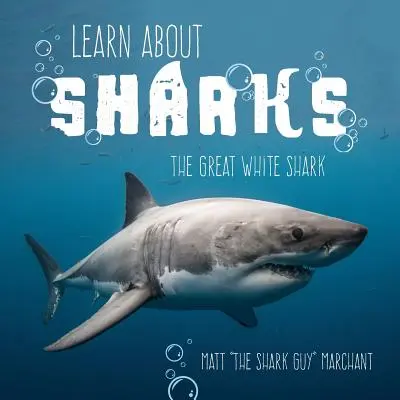Impariamo a conoscere gli squali: Lo squalo bianco - Learn About Sharks: The Great White Shark