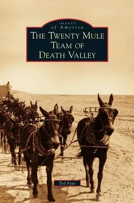 La squadra dei venti muli della Valle della Morte - Twenty Mule Team of Death Valley