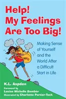 Aiuto! I miei sentimenti sono troppo grandi! Dare un senso a se stessi e al mondo dopo un inizio di vita difficile - Help! My Feelings Are Too Big!: Making Sense of Yourself and the World After a Difficult Start in Life