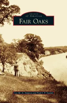 Querce giuste - Fair Oaks