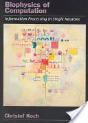 Biofisica del calcolo: Elaborazione dell'informazione in singoli neuroni - Biophysics of Computation: Information Processing in Single Neurons
