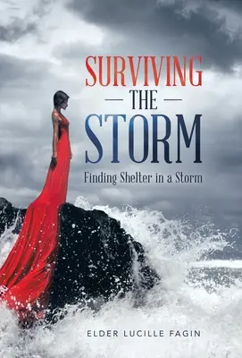 Sopravvivere alla tempesta: Trovare riparo in una tempesta - Surviving the Storm: Finding Shelter in a Storm