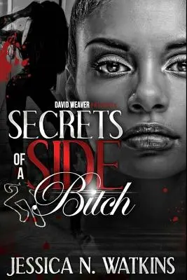 I segreti di una puttana laterale - Secrets of a Side Bitch