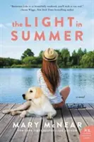 La luce d'estate: Un romanzo sul lago Butternut - The Light in Summer: A Butternut Lake Novel