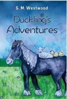Le avventure dell'anatroccolo - Duckling's Adventures