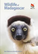 La fauna del Madagascar - Wildlife of Madagascar