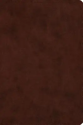 Bibbia compatta-ESV - Compact Bible-ESV