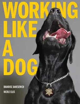 Lavorare come un cane - Working Like A Dog