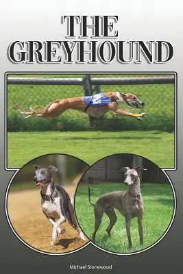 Il levriero: Una guida completa ed esauriente per i proprietari a: Acquistare, possedere, salute, toelettatura, addestramento, obbedienza, comprensione e - The Greyhound: A Complete and Comprehensive Owners Guide To: Buying, Owning, Health, Grooming, Training, Obedience, Understanding and