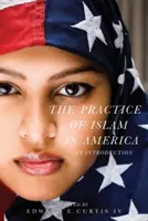 La pratica dell'Islam in America: Un'introduzione - The Practice of Islam in America: An Introduction
