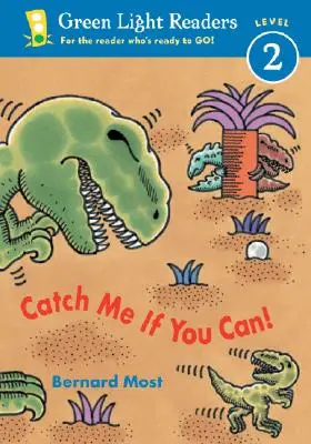 Prendimi se puoi! - Catch Me If You Can!