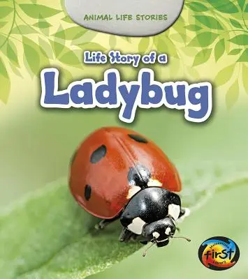 Storia di una coccinella - Life Story of a Ladybug