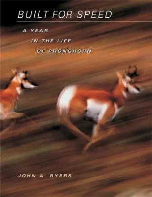 Costruito per la velocità: Un anno nella vita di Pronghorn - Built for Speed: A Year in the Life of Pronghorn