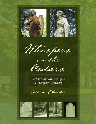 Sussurri tra i cedri: Il cimitero Wintergreen di Port Gibson, Mississippi - Whispers in the Cedars: Port Gibson, Mississippi's Wintergreen Cemetery