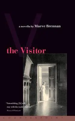 Il visitatore - The Visitor