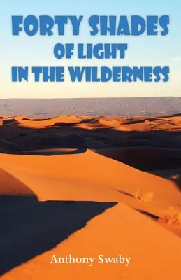 Quaranta sfumature di luce nel deserto - Forty Shades of Light in the Wilderness