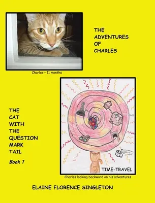 Le avventure di Charles il gatto con la coda a forma di punto interrogativo - The Adventures of Charles The Cat With The Question Mark Tail