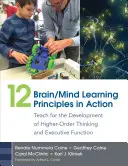 12 Principi di apprendimento cervello/mente in azione: Insegnare per lo sviluppo del pensiero di ordine superiore e della funzione esecutiva - 12 Brain/Mind Learning Principles in Action: Teach for the Development of Higher-Order Thinking and Executive Function