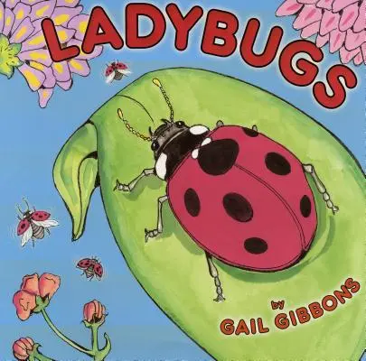 Coccinelle - Ladybugs