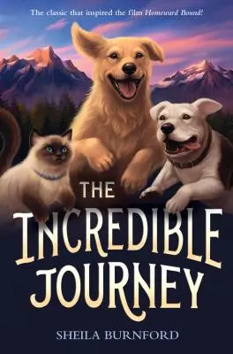L'incredibile viaggio - The Incredible Journey