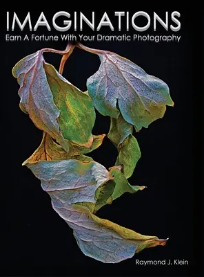 Immaginazioni: Guadagnare una fortuna con la fotografia drammatica - Imaginations: Earn A Fortune With Your Dramatic Photography
