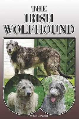Il Lupo irlandese: Guida completa ed esaustiva per il proprietario: Acquistare, possedere, salute, toelettatura, addestramento, obbedienza, comprensione e - The Irish Wolfhound: A Complete and Comprehensive Owners Guide To: Buying, Owning, Health, Grooming, Training, Obedience, Understanding and