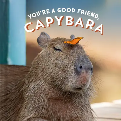 Sei un buon amico, Capibara - You're a Good Friend, Capybara