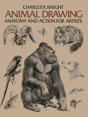 Disegno di animali: Anatomia e azione per artisti - Animal Drawing: Anatomy and Action for Artists