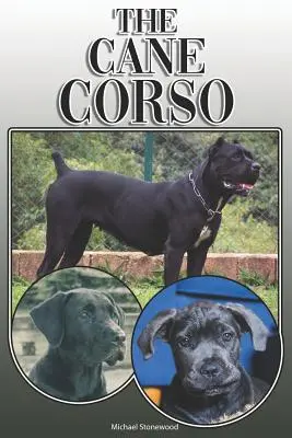 Il Cane Corso: Una guida completa ed esauriente per il proprietario: Acquisto, possesso, salute, toelettatura, addestramento, obbedienza, comprensione e - The Cane Corso: A Complete and Comprehensive Owners Guide To: Buying, Owning, Health, Grooming, Training, Obedience, Understanding and