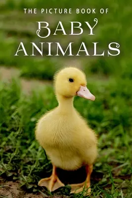Il libro illustrato dei cuccioli di animali: Un libro regalo per pazienti di Alzheimer e anziani con demenza - The Picture Book of Baby Animals: A Gift Book for Alzheimer's Patients and Seniors with Dementia