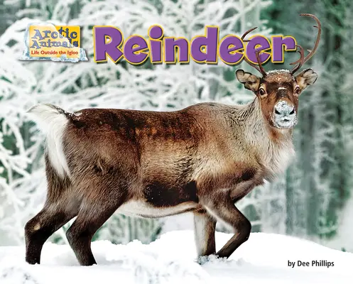 Renna - Reindeer