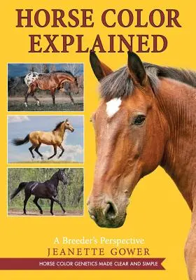 Il colore dei cavalli spiegato: Il punto di vista di un allevatore - Horse Color Explained: A Breeder's Perspective