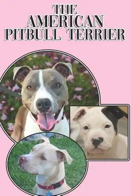Il Pitbull Terrier americano: Guida completa ed esaustiva per principianti a: Comprare, possedere, salute, toelettatura, addestramento, obbedienza, comprendere - The American Pitbull Terrier: A Complete and Comprehensive Beginners Guide To: Buying, Owning, Health, Grooming, Training, Obedience, Understanding
